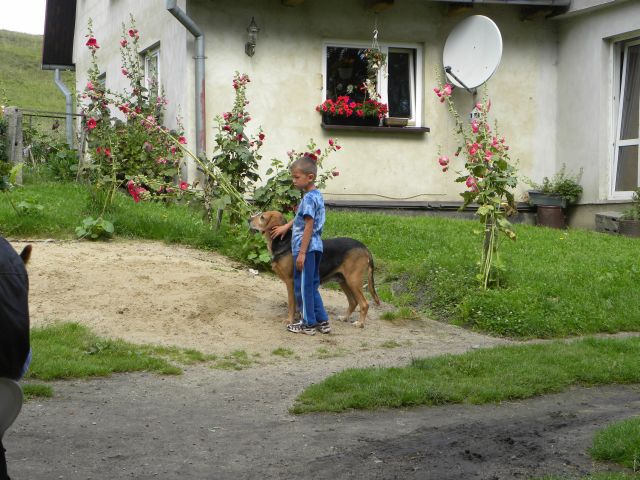 Obraz 1152.jpg