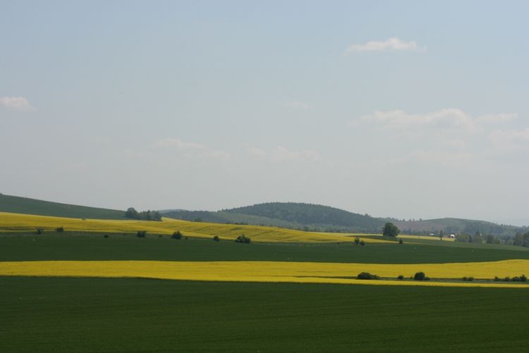 maj 2009 037.jpg