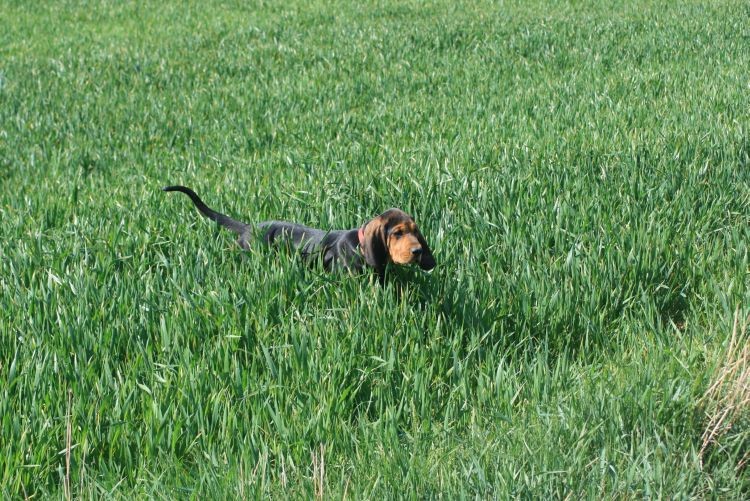 maj 2009 075.jpg