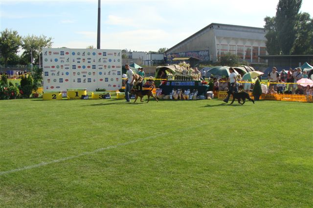 DSC08443.JPG