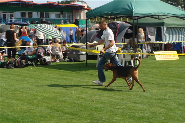 DSC08332.JPG