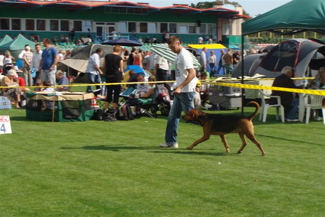 DSC08333.JPG