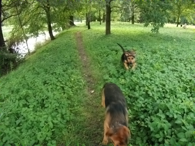 DSCF1513.JPG