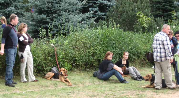 towarzystwo ogarkowe...
