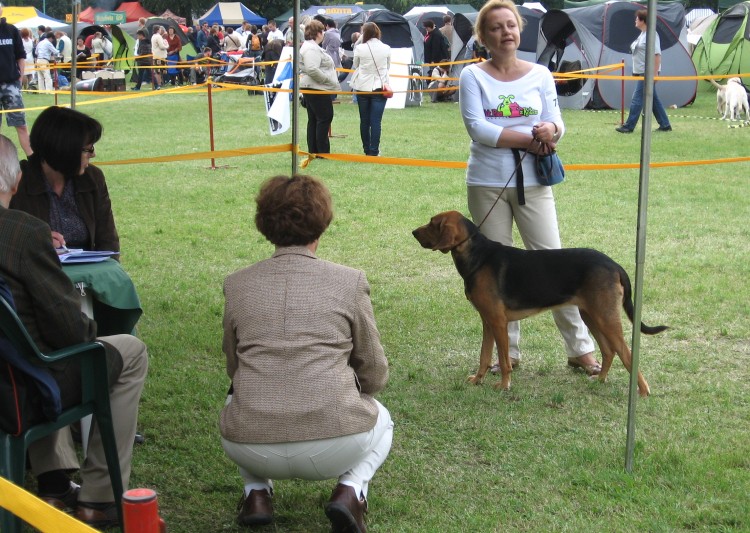 Iskra wystawa w Warszawie 10 września 2011 053.jpg