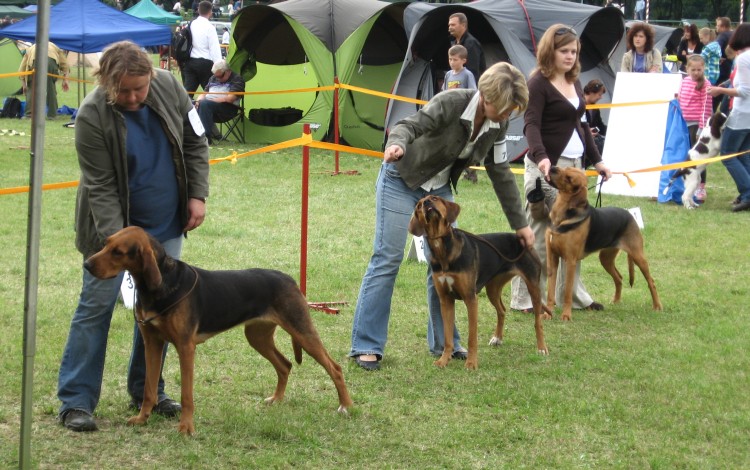 Iskra wystawa w Warszawie 10 września 2011 056.jpg