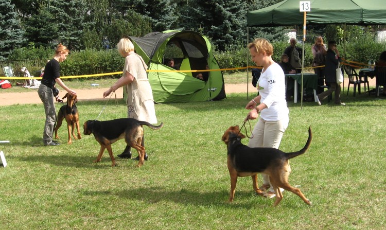 Iskra wystawa w Warszawie 10 września 2011 060.jpg