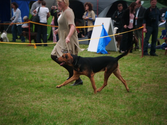 DSCF0008.JPG