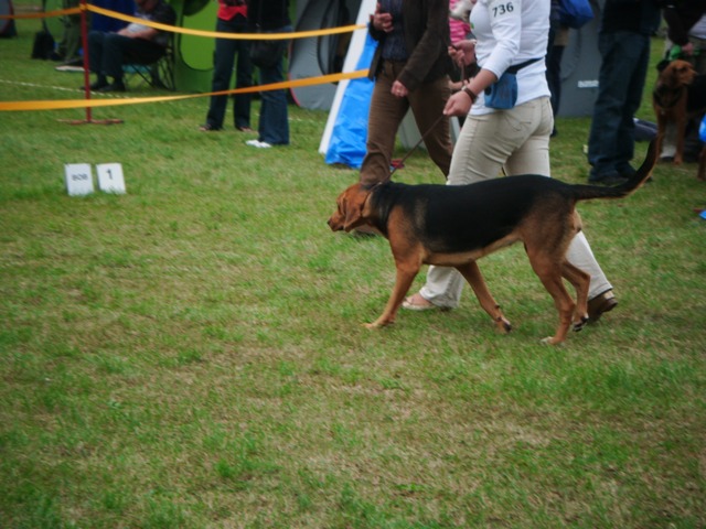 DSCF0010.JPG
