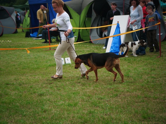 DSCF0011.JPG