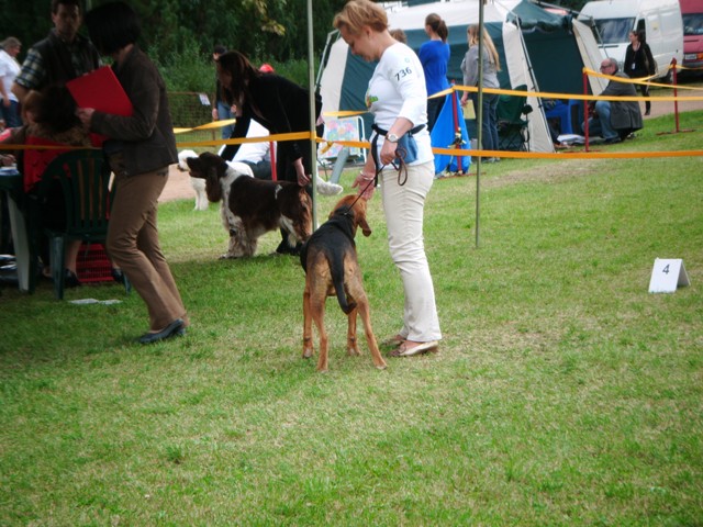 DSCF0012.JPG