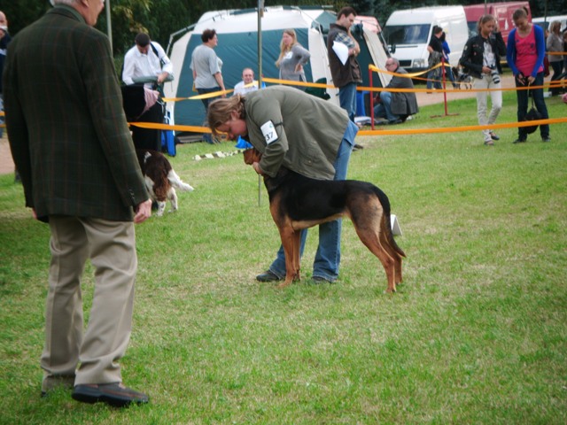 DSCF0013.JPG