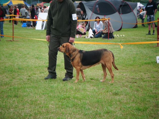 DSCF0018.JPG