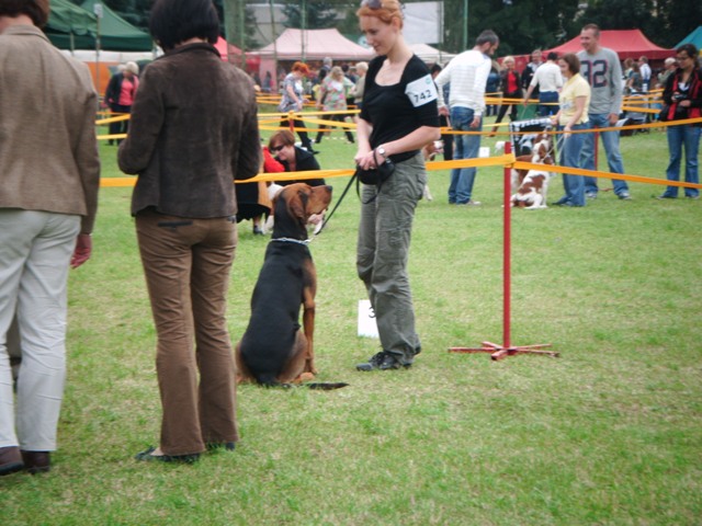 DSCF0019.JPG