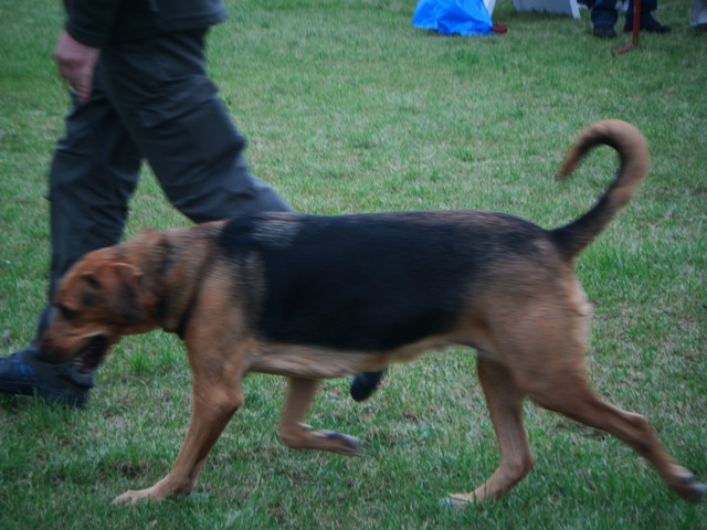 DSCF0021.JPG