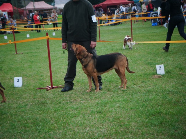 DSCF0022.JPG