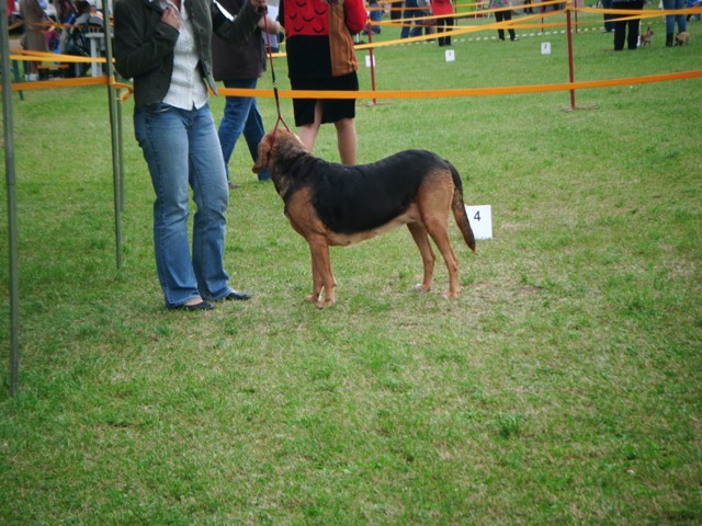 DSCF0023.JPG
