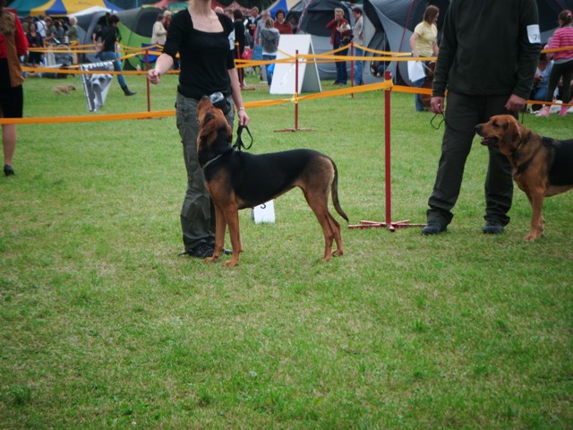 DSCF0024.JPG