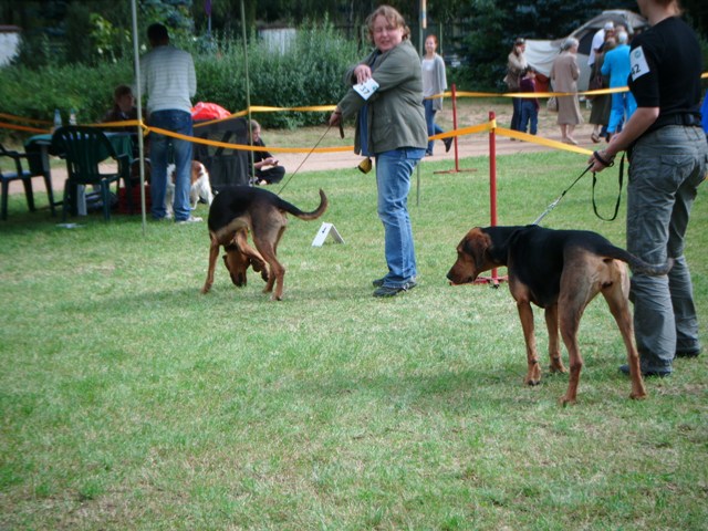 DSCF0025.JPG