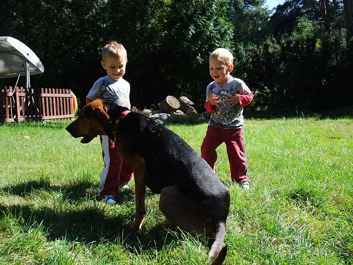 A później zmasowany atak trawą
