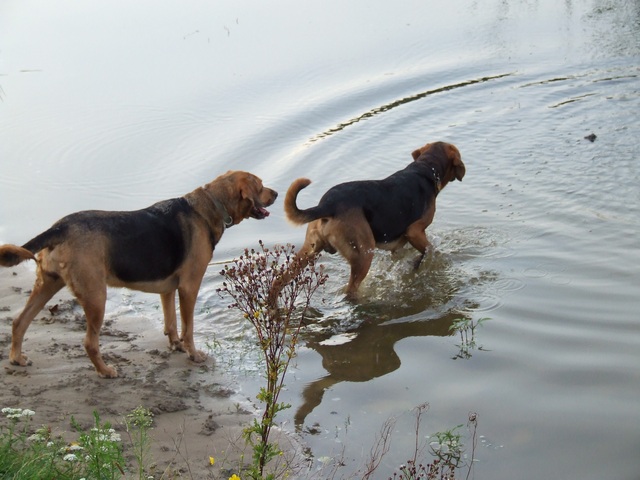 DSCF1145.JPG