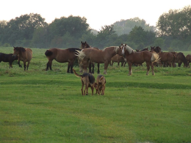 DSCF1148.JPG