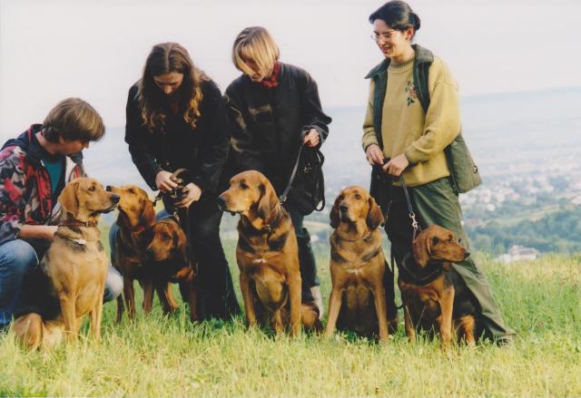 zlot2 001.jpg