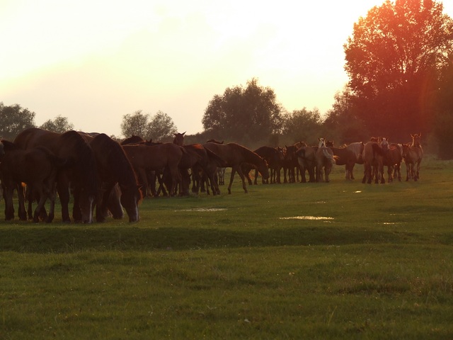 DSCF1157.JPG
