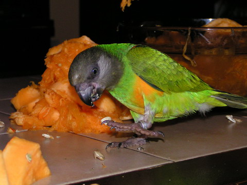 PICT0002.jpg
