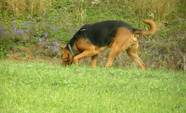 P9180252.JPG