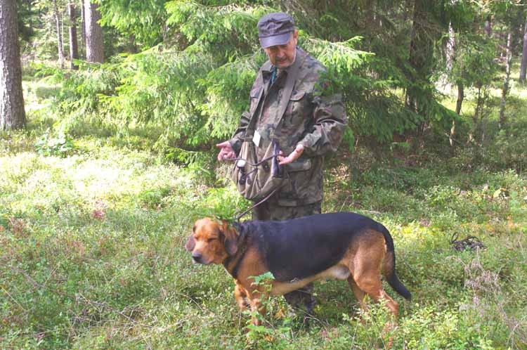 No i problem, zabrali mojego dzika, dali złom a jak do domu, na szczęście ja wiedziałem.