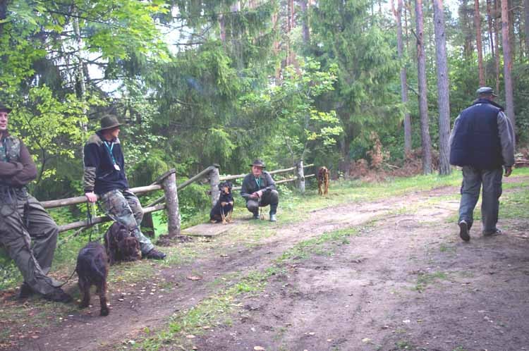 Czekamy na wyniki