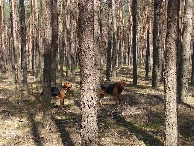 później była niezapomniana zabawa w chowanego...