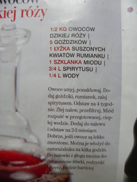 z dzikiej róży