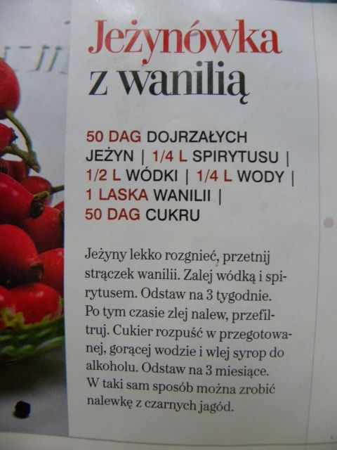 z jeżyn