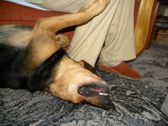 Obraz 2 155.jpg