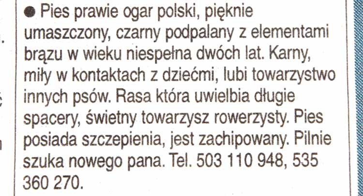 ogłoszenieGWyb23_09_2011.jpg