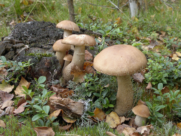 16092011286.jpg