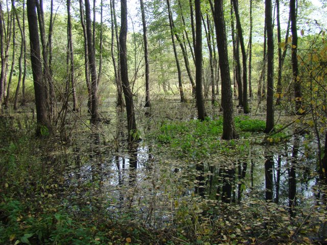 DSC04820.JPG
