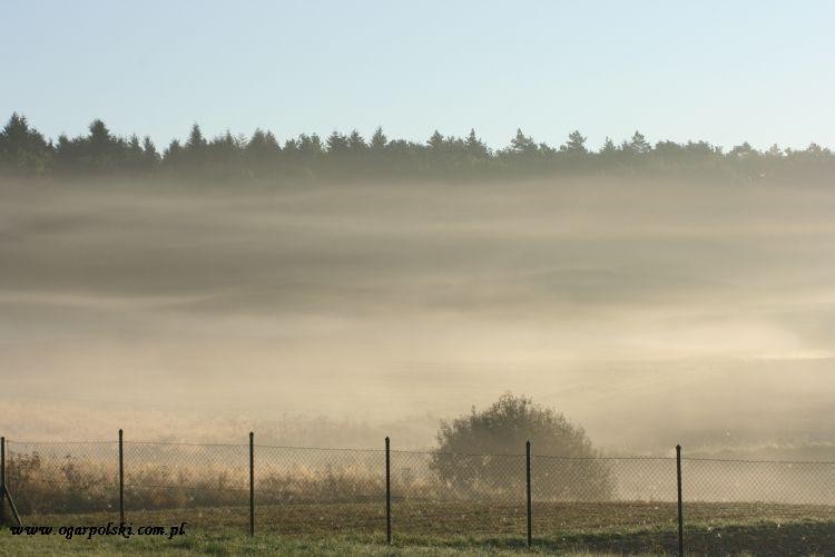 Piękny był.
