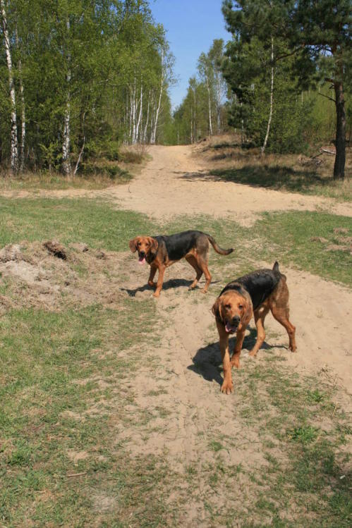 wielkanoc_2009 018.jpg