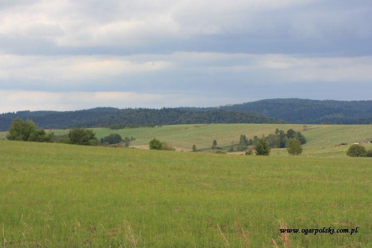 Sielanka.