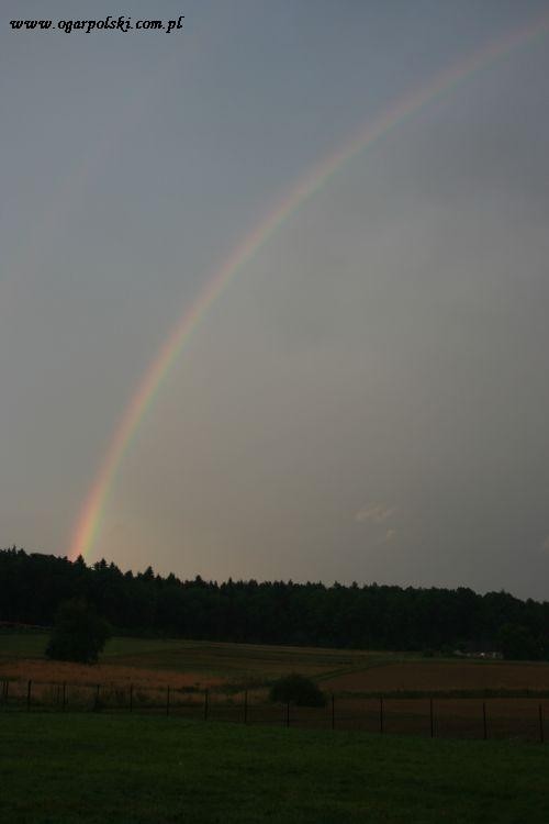 Tęczowo!