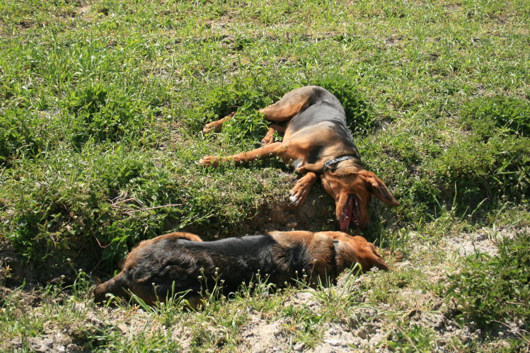 wielkanoc_2009 021.jpg
