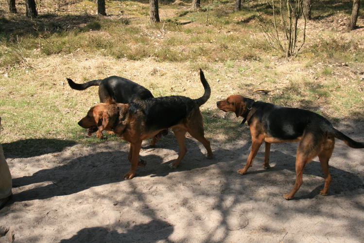 wielkanoc_2009 026.jpg