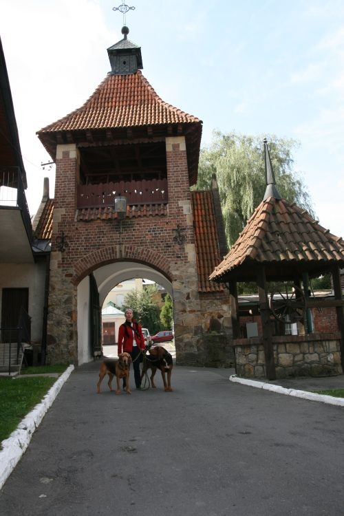 Zagaj w swym rodzinnym mieście.