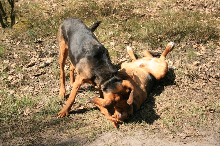wielkanoc_2009 028.jpg