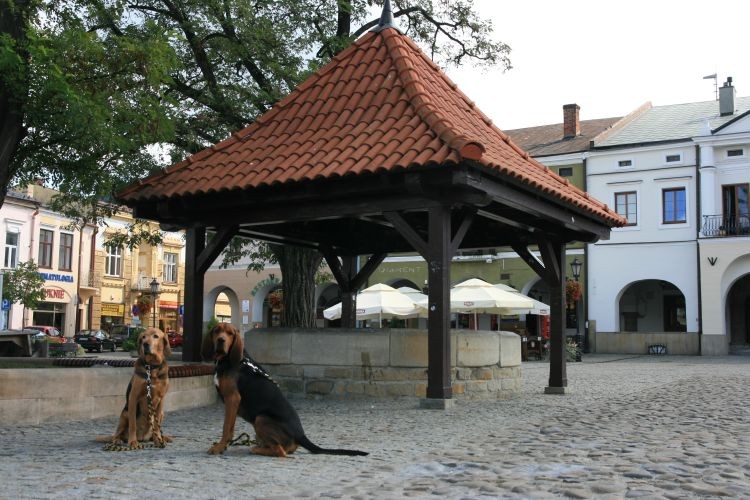 urlop górki 329.jpg
