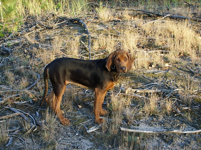 Iryda wrzesień 2011 2.JPG
