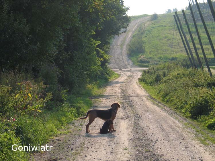Liwa i Kraska
